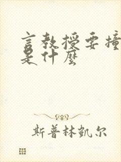 言教授要撞坏了是什么封面