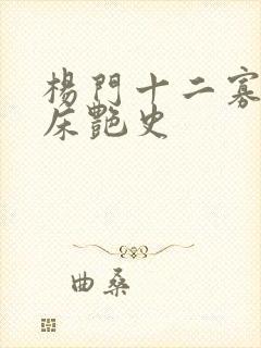 杨门十二寡妇肉床艳史封面