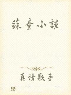 苏童小说