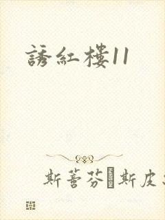 诱红楼11