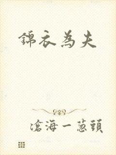 锦衣为夫封面
