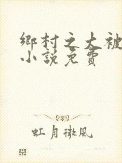 乡村之大被同眠小说免费