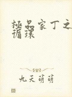 极品家丁之因果循环