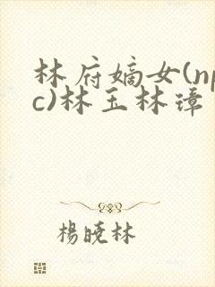 林府嫡女(npc)林玉林璋