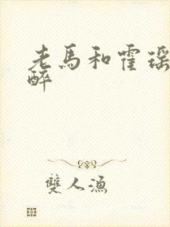 老马和霍瑶瑶喝醉封面