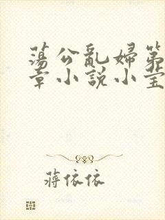 荡公乱妇第51章小说小莹封面