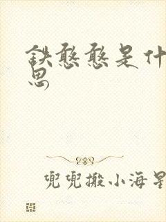 铁憨憨是什么意思封面