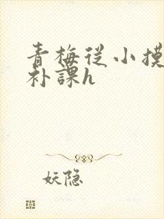 青梅从小摸到大补课h