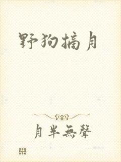 野狗摘月