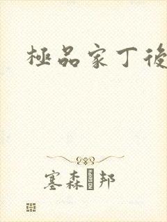 极品家丁后传