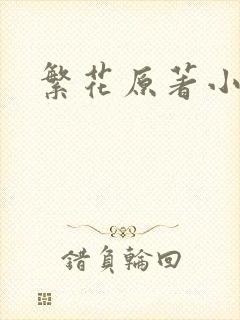 繁花原著小说