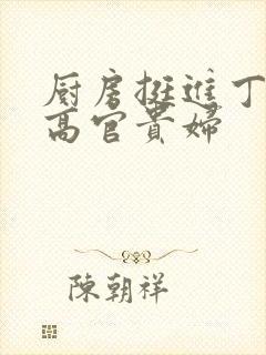 厨房挺进丁字裤高官贵妇封面