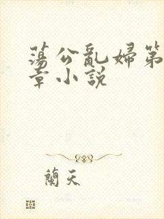 荡公乱妇第51章小说封面