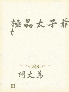 极品太子爷txt