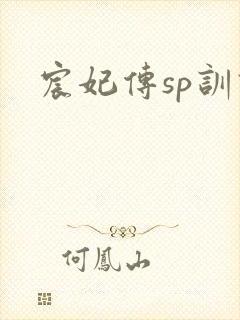 宸妃传sp训诫