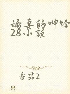 娇妻的呻吟1—28小说