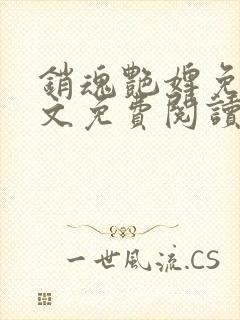 销魂艳婢免费全文免费阅读