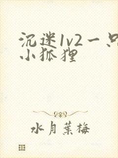 沉迷1v2一只小狐狸