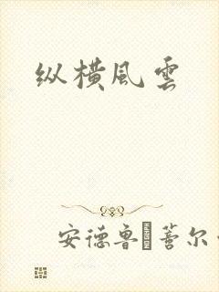 纵横风云封面