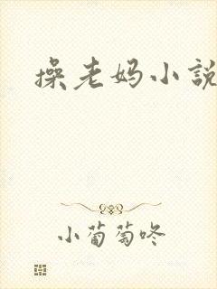 操老妈小说