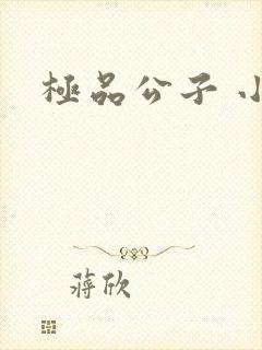 极品公子 小说