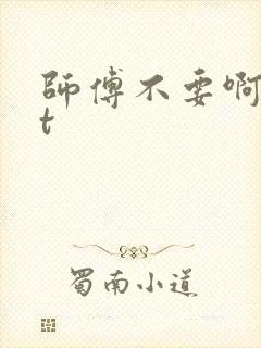 师傅不要啊txt封面