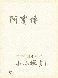 阿宾传