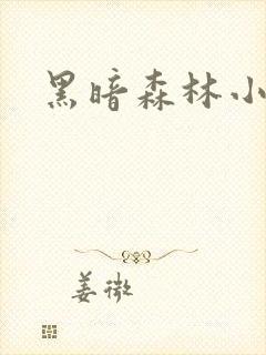 黑暗森林小说