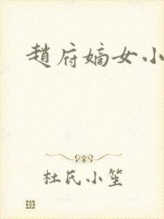 赵府嫡女小说