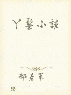 丫鬟小说