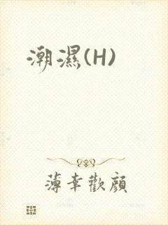 潮湿(H)