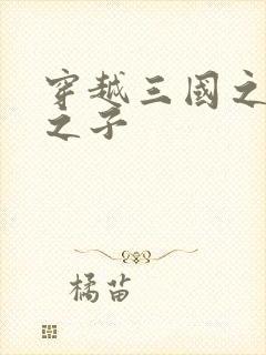 穿越三国之袁绍之子