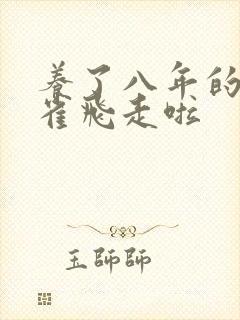 养了八年的金丝雀飞走啦