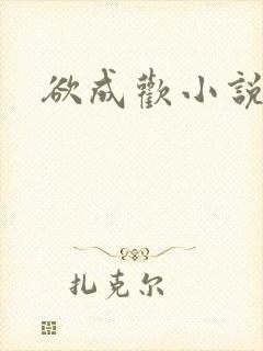 欲成欢小说