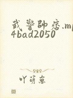武警帅痞.mp4bad2050