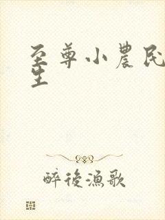 至尊小农民王木生