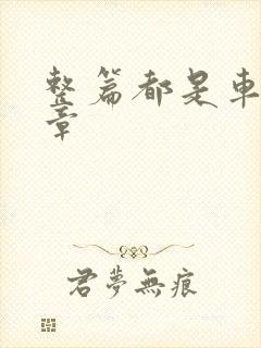 整篇都是车的文章