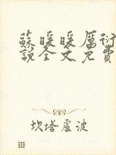 苏暖暖厉衍琛小说全文免费阅读