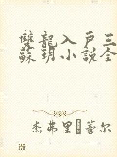 双龙入户三人行苏玥小说全文阅读