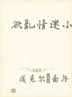 欲乱情迷小说