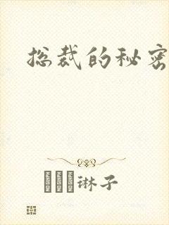 总裁的秘密情人封面