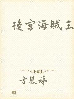 后宫海贼王