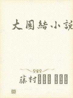 大团结小说阅读
