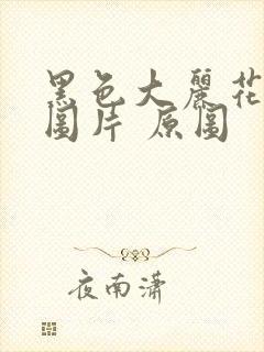 黑色大丽花真实图片 原图