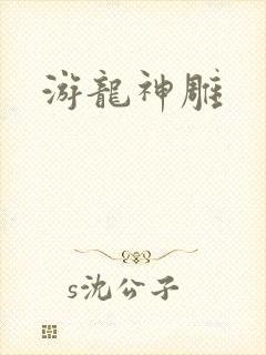 游龙神雕封面