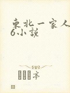 东北一家人1一6小说