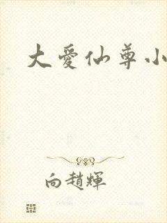 大爱仙尊小说
