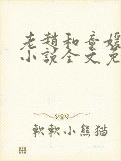 老赵和童媛媛的小说全文免费阅读封面