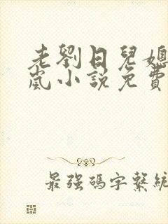老刘日儿媳妇张岚小说免费阅读封面
