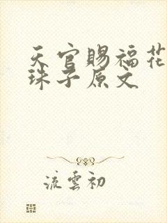 天官赐福花怜塞珠子原文